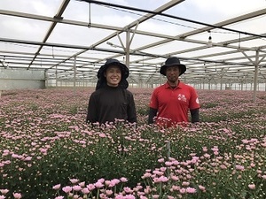 働き方によって環境はいろいろ 農業で花を扱う花農家 農家 農業求人サイト あぐりナビ
