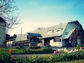 熊本県合志市×酪農/法人【35294】-top