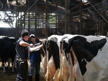 遠坂牧場～Enzaka Farm～-7