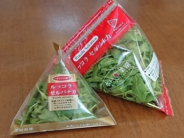 有限会社水戸菜園-top