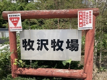 牧沢牧場-top