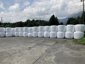 牧沢牧場-4