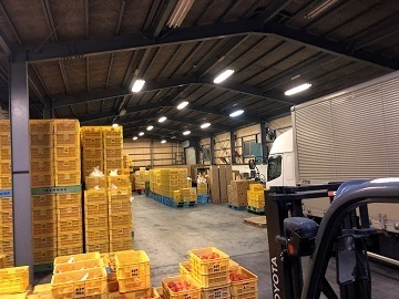 株式会社柳澤果樹園-4