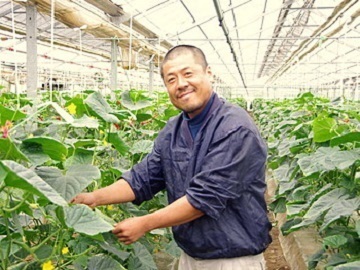 冨田農場(和郷園グループ)-top