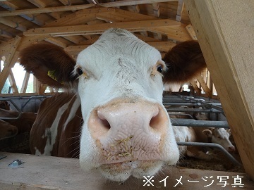千葉県袖ケ浦市/酪農×個人【35548】-top