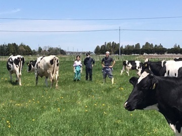 有限会社福屋牧場-6