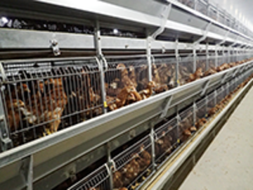 株式会社カントウ-5