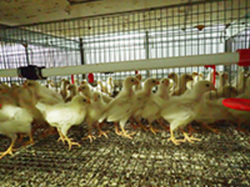 株式会社カントウ-4