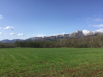 北海道新得町×肉牛/法人【35616】-top