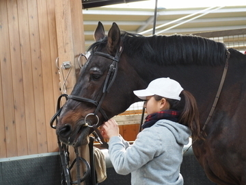 埼玉県鳩山町 乗馬 個人 埼玉県鳩山町 正社員 契約社員 パート アルバイトの求人情報 農業 酪農求人あぐりナビ