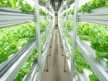 静岡県焼津市 植物工場 法人 静岡県焼津市 正社員 契約社員の求人情報 農業 酪農求人あぐりナビ