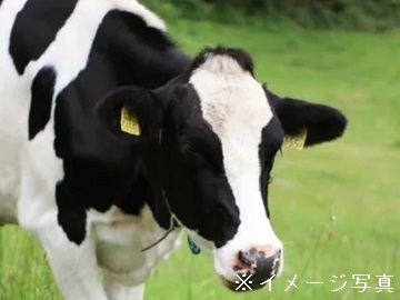 北海道標津町×酪農/個人【35710】-top