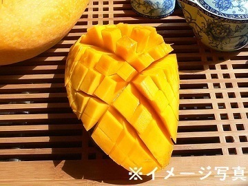 沖縄県大宜味村×果樹/法人【35729】-top
