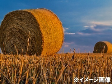 北海道上川町×肉牛/法人【3264】-1
