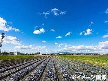 北海道上川町×農業/法人【3264】-top
