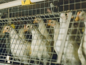 有限会社木次ファーム-2