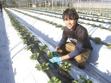 株式会社吉次園-3