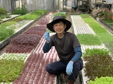 株式会社マジカルプランツ 埼玉県鴻巣市 パート アルバイトの求人情報 農業 酪農求人あぐりナビ 株式会社マジカルプランツ 埼玉県鴻巣市 パート アルバイトの求人情報 農業 酪農求人あぐりナビ