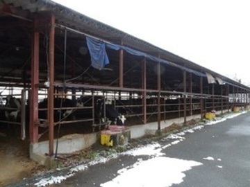 有限会社福沢牧場-1