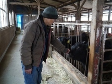 有限会社福沢牧場-4