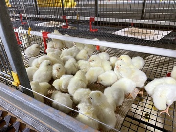 株式会社カントウ-1