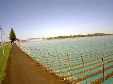 有限会社有塚農場-3