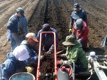 有限会社有塚農場-4