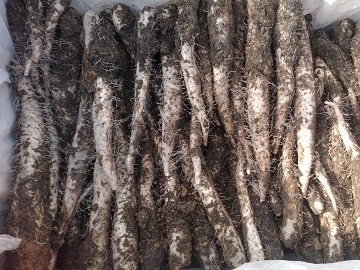 有限会社有塚農場-5