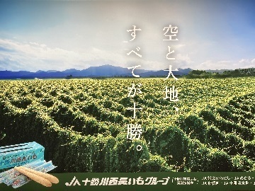 有限会社有塚農場-6