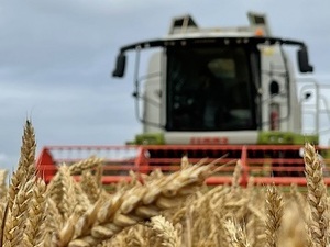 有限会社有塚農場-top