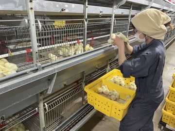 株式会社カントウ-2