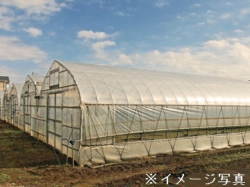 滋賀県草津市×水稲・野菜/法人【36096】-2