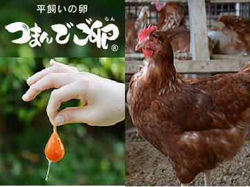 有限会社緑の農園-top