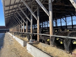 北海道豊頃町×肉牛/法人【1369】-top