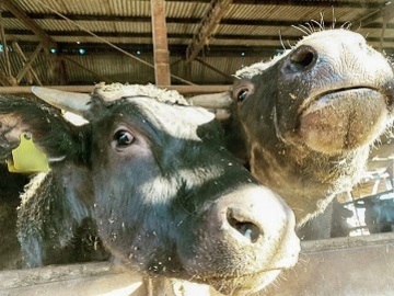 株式会社Kuni'sファーム-1