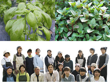 長野ハーブガーデン有限会社-top