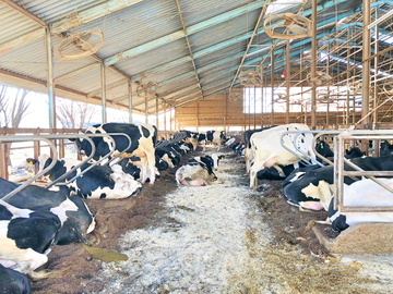 遠坂牧場～Enzaka Farm～-4