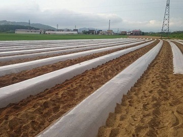 有限会社中崎農場-5