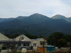 福岡県直方市×酪農・肉牛×法人【36389】-top