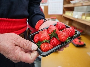 株式会社TAKANO(ただかね農園)-4