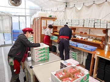 株式会社TAKANO(ただかね農園)-6