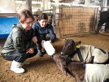 農業生産法人株式会社とー家ファーム司(とーやふぁーむつかさ)-2