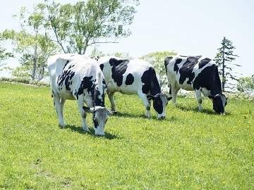 有限会社ワタミファーム【マネージャー】-6