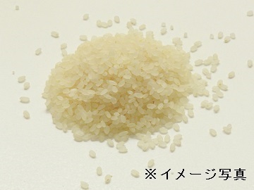 岡山県岡山市×農産営業/法人【36462】-2