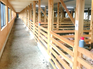 株式会社松屋フーズ(養豚)-3