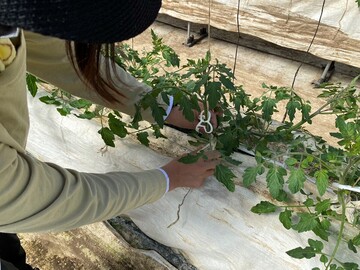 ONENOUEN(ワンノウエン)-1