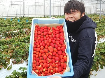 株式会社メークリヒカイト-2