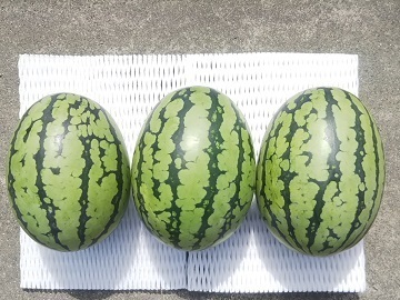 株式会社メークリヒカイト-5