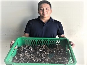 有限会社エムプランテイション-top