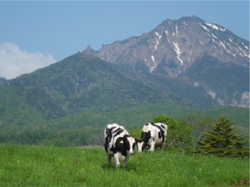 全農長野県本部　八ヶ岳牧場-top